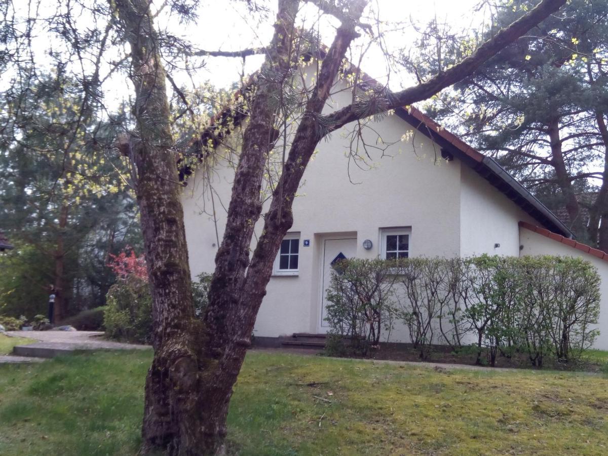 Lenzer Parkblick Am Plauer See Exterior foto